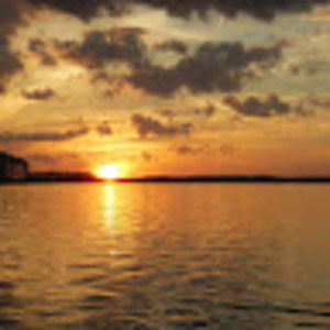 Meet your Posher, Esther